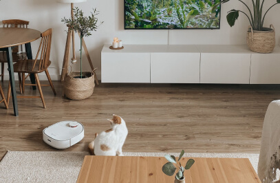 ein Reinigungsroboter saugt den Boden im Wohnzimmer und ein Kätzchen steht daneben